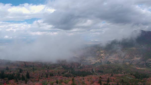 Veduta Aerea Nuvole Basse Sul Fogliame Colorato Nello Utah — Video Stock