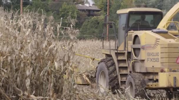 Blick Auf Mähdrescher Die Während Der Ernte Durch Das Maisfeld — Stockvideo