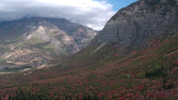 ユタ州の背の高い山々の影のカラフルな紅葉の航空写真 — ストック動画