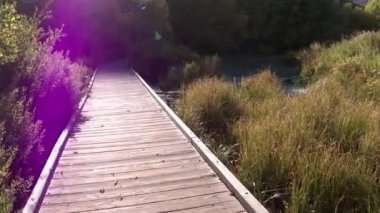 Art arda sıralı Springs Utah ahşap tahta aşağı yürüyüş.