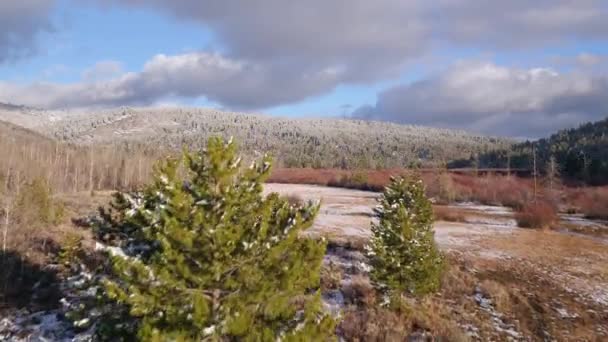 Flying Pine Tree Rising Viewing Colorful Landscape Dusted Snow — Stock Video