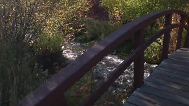 Caminhando Sobre Ponte Olhando Para Baixo Fluxo Cascade Springs Utah — Vídeo de Stock