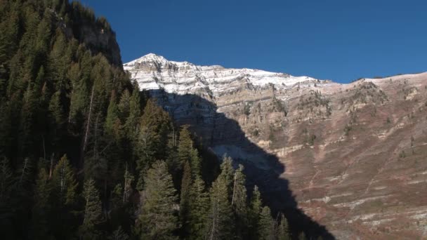 Vista Aerea Tirando Dal Lato Della Montagna Pini — Video Stock