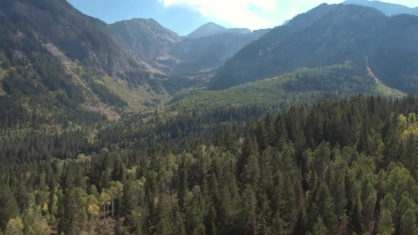ユタ州の山の谷を横切って伸びる緑の森の航空写真 — ストック動画