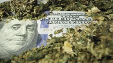 Makro görünümünde marihuana ile kaplı 100 dolar Bill üzerinde kaydırma.