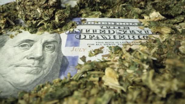 Panning 100 Dollar Bill Covered Marijuana Macro View — Stock Video