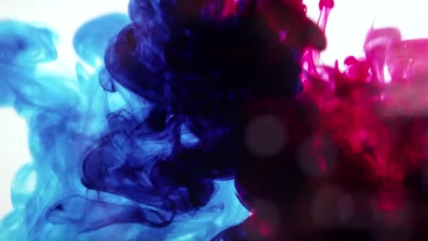 Blue Red Ink Mixing Together Water Spins — Stock Video