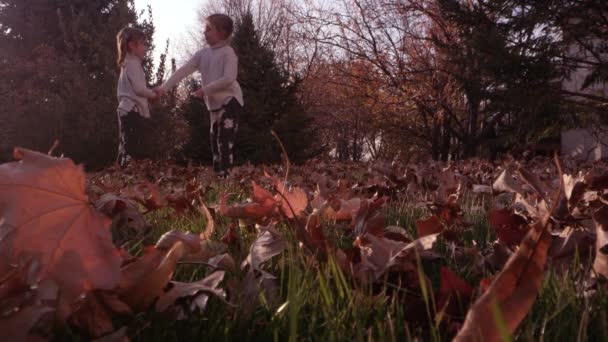 Ground View Kijken Doorbladeren Gras Als Meisjesspelen Spel Met Elkaar — Stockvideo