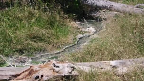 하류로 흐르는 온천의 바라본다 — 비디오