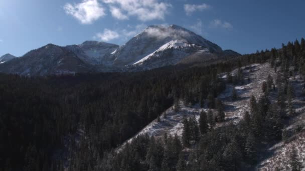 Luchtfoto Van Besneeuwde Heuvelzijde Vliegen Bos Richting Bergen — Stockvideo