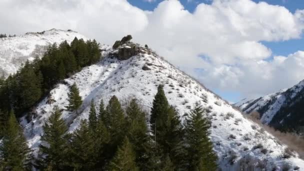 Voando Para Baixo Lado Encosta Coberta Neve Sobre Grupo Árvores — Vídeo de Stock