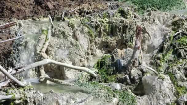 Aguas Termales Que Fluyen Sobre Algas Blancas Verdes — Vídeo de stock