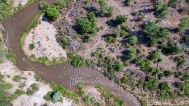 Vista Aérea Del Arroyo Serpenteante Que Fluye Aguas Abajo Los — Vídeos de Stock