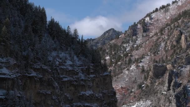 Vista Panorâmica Aérea Penhascos Cobertos Neve Floresta Lado Montanha — Vídeo de Stock