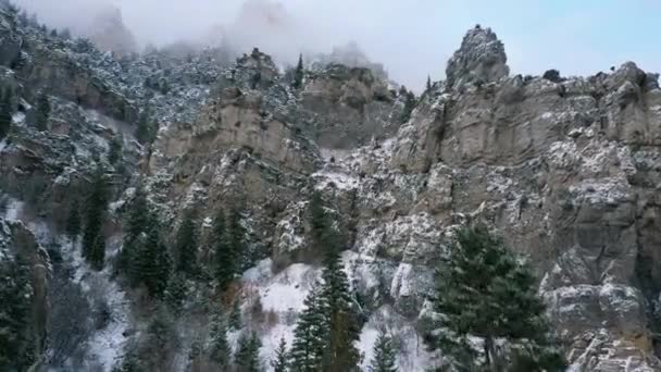 Vista Aérea Volando Entre Pinos Hacia Acantilados Rocosos Cubiertos Nieve — Vídeo de stock