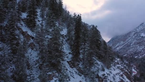 Letí Nahoru Příkrý Horský Les Rostoucí Útesech Sněhu Vysoko Nad — Stock video