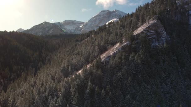 Vue Aérienne Survolant Une Colline Enneigée Forêt Dans Les Montagnes — Video