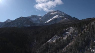 Orman üzerinde karla kaplı dağ tepesinden uzağa uçan havadan görünüm.
