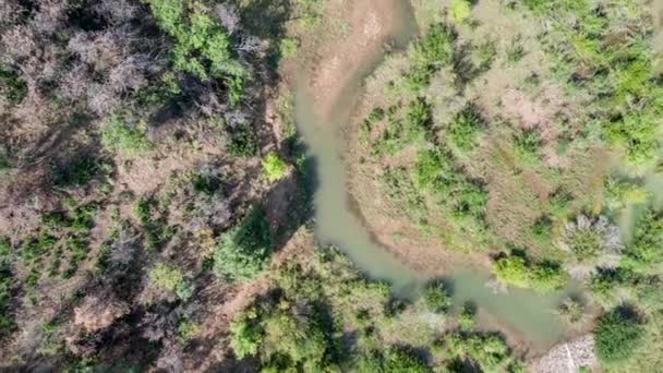Вид Повітря Звивистий Потік Греблі Бобра Протікає Через Зелені Кущі — стокове відео