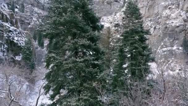 Rostoucí Letecký Pohled Zelených Borovic Úpatí Skalnaté Útesy Zasněžené Zimní — Stock video