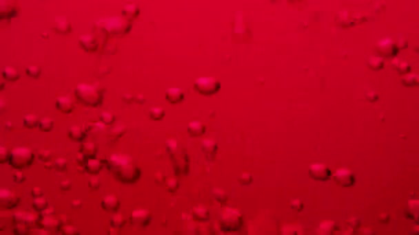 Bubbles Forming Floating Red Liquid Rise Top Fade Away — Stock Video