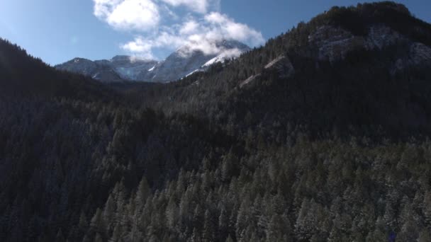 Flyga Över Skogen Mot Snötäckta Berg Solig Dag Utah — Stockvideo