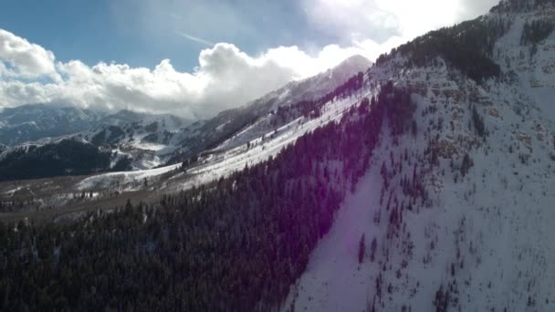 Luftaufnahme Über Schneebedeckter Landschaft Den Bergen Flug Über Den Wald — Stockvideo