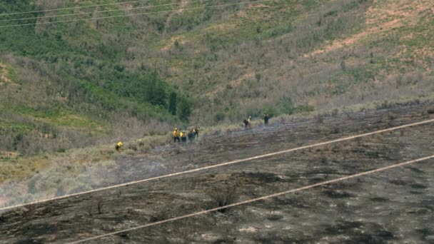 Onlar Orman Ateşi Sıcak Noktalar Dışarı Koymak Gibi Tüttürme Olarak — Stok video