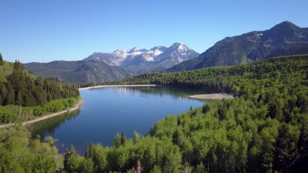 Letecký Pohled Stříbrné Jezero Byty Obklopený Zeleným Lesem Utahu Pomalu — Stock video