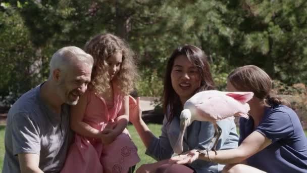 Trainer Holding Lepelaar Vogel Haar Arm Met Familie Als Dochter — Stockvideo