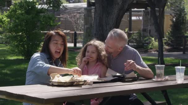 Familj Sitter Vid Picknickbord Parken Skratta Och Äta Trevlig Sommardag — Stockvideo