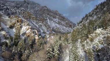 Amerikan çatal Kanyon Utah kayalıkları üzerinde güneş parlar gibi yavaşça kar kaplı Kanyon üzerinden uçan.