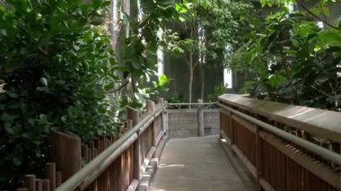 Tutsak Gözlüklü baykuşu görmek için kuş pantolonla geçit görünümü.