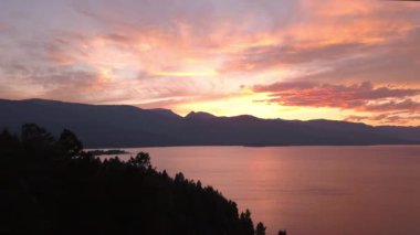 Ağacın tepesinden geriye doğru uçan ve gölde suya doğru inen havadan renkli gün batımı nın görüntüsü.