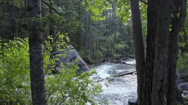 Luftbild Tiefflug Über Den American Fork River — Stockvideo