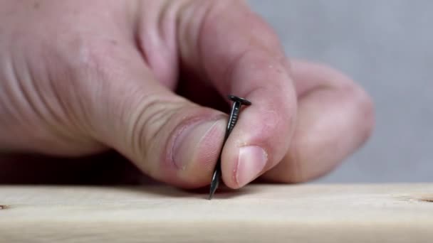 Persoon Die Nagel Zijn Plaats Als Hamer Een Bord Hun — Stockvideo