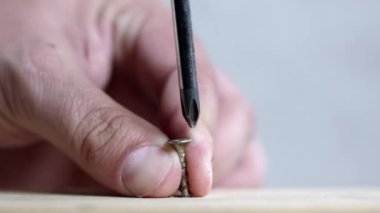 Bir tahta gri arka plan karşı içine bir vida vidalama.