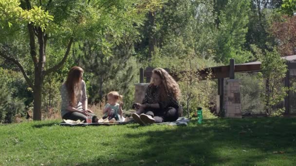 草の中に座って公園でピクニックをして食べたり飲んだりする家族 — ストック動画