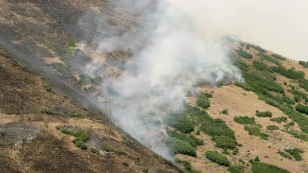 Dym Rośnie Niebo Wildfire Poruszających Się Wzgórzu Spalania Utah Gorący — Wideo stockowe