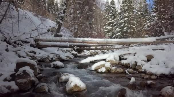 Flytta Bakåt Över Floden Vinterlandskap Visning Uppströms Utah Mountains — Stockvideo