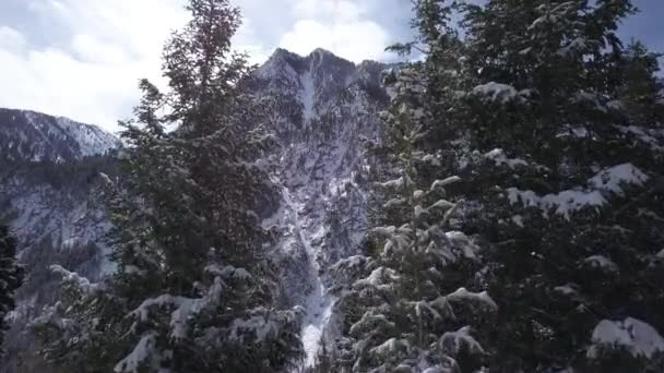 Widok Lotniczy Latający Między Drzewami Zimą Oglądanie Śniegu Pokryte Gór — Wideo stockowe