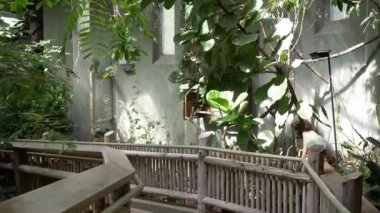 Patikada kuş habitatında yürüyüş.