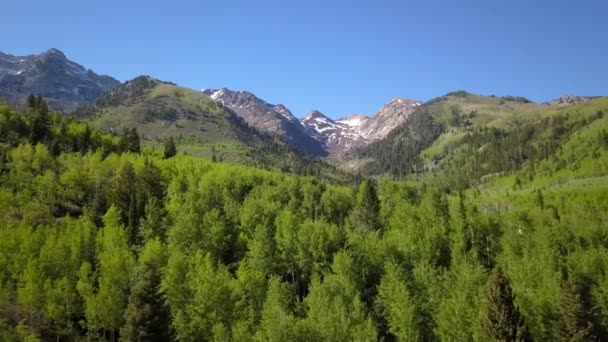 Vista Aérea Volando Sobre Espeso Bosque Hacia Montañas Con Nieve — Vídeos de Stock