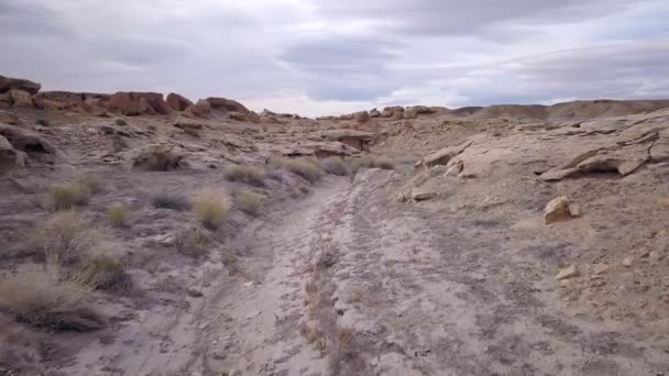 Flying Alacsony Sivatagi Szakadék Felett Sziklás Terepen Utah — Stock videók