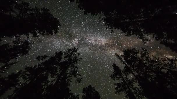 Zeitraffer Einer Galaxie Die Sich Dreht Und Geradeaus Durch Bäume — Stockvideo