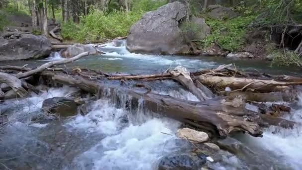 Repülő Visszafelé Alacsonyan American Fork River Stream Vastag Erdőben Utah — Stock videók