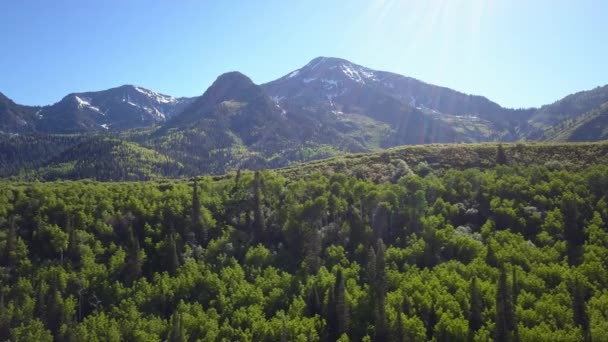 Vista Panorámica Las Capas Bosque Montaña Mientras Sol Brilla Sus — Vídeos de Stock