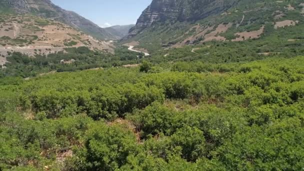 Pozpátku Letící Nad Keře Vlající Větru Zobrazení Silnice Vinoucí Canyon — Stock video