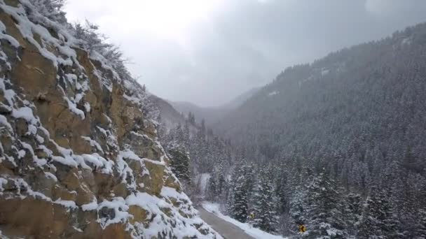 Winter Über Eine Straße Die Sich Durch Den Wald Schlängelt — Stockvideo
