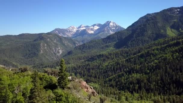 Letecký Pohled Plující Pozpátku Přes Zelený Les Vrcholku Hory Timpanogos — Stock video